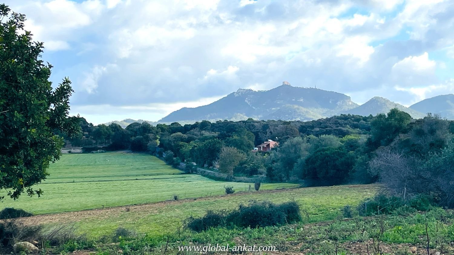  Land in Mallorca, Spain No. 156247