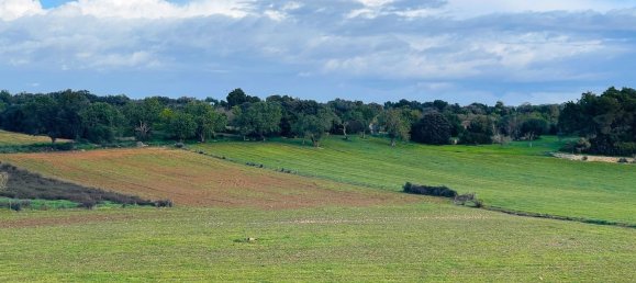  Land in Mallorca, Spain No. 156247 3