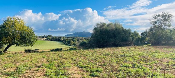 Land in Mallorca, Spain No. 156247 2