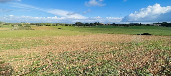  Land in Mallorca, Spain No. 156247 4