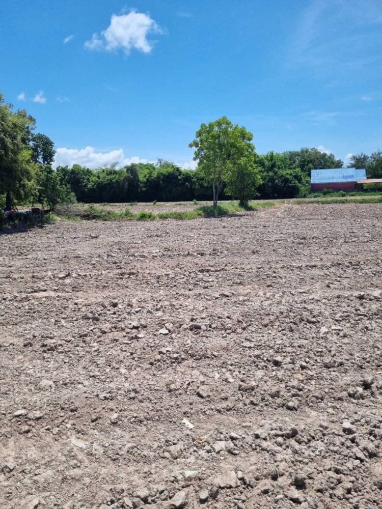 Terreno em Pattaya, Thailand N.º 20447