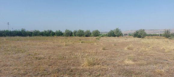 قطعة أرض في Paternò, Italy 10000متر مربع رقم 46436 2