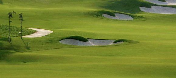 2 bedrooms Apartment in DAMAC Hills (Akoya by DAMAC), UAE No. 195 5