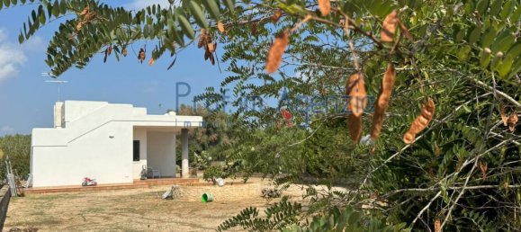 2-Zimmer Villa in Carovigno, Italy, Nr. 237283 9