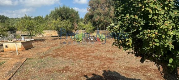 2-Zimmer Villa in Carovigno, Italy, Nr. 237283 6