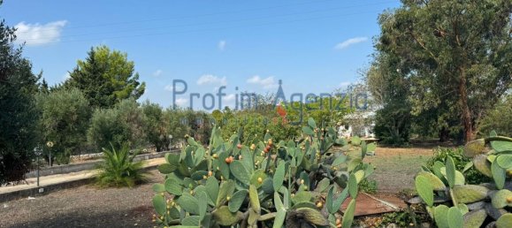 2-Zimmer Villa in Carovigno, Italy, Nr. 237283 7