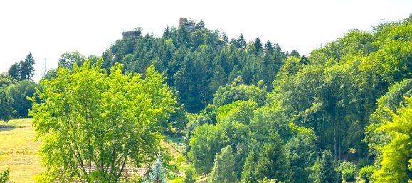 5 Schlafzimmer Haus in Windstein, France, Nr. 87619 4