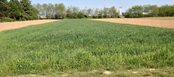 Grundstück in Cambiago, Italy 3300m², Nr. 126042 8