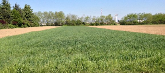 Grundstück in Cambiago, Italy 3300m², Nr. 126042 6