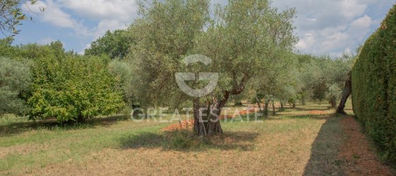 2 chambres Villa à Tuoro sul Trasimeno, Italy No. 288047 31