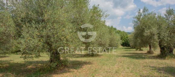 2 chambres Villa à Tuoro sul Trasimeno, Italy No. 288047 30