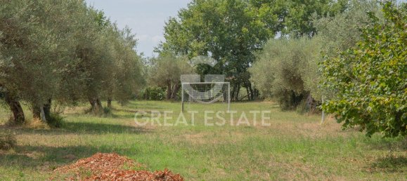 2 chambres Villa à Tuoro sul Trasimeno, Italy No. 288047 8