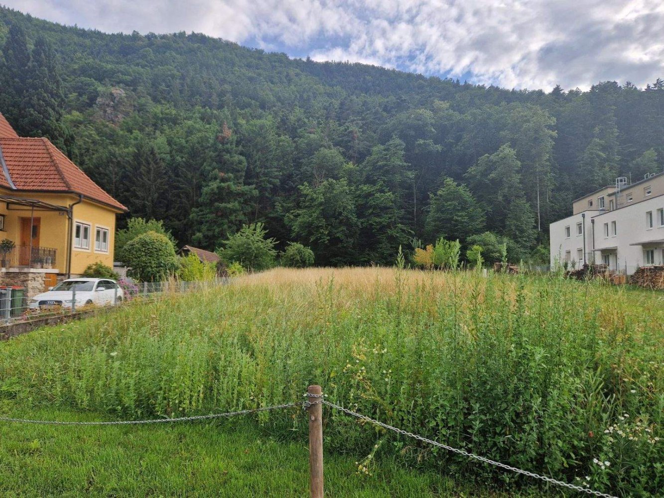  Land in Senftenberg, Austria No. 248120