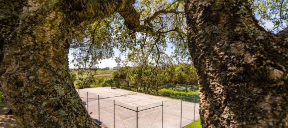 4 bedrooms Villa in Sintra, Portugal No. 53197 6