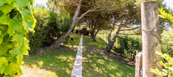 4 bedrooms Villa in Sintra, Portugal No. 53197 10