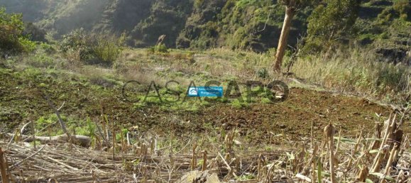 Grundstück in Calheta, Portugal, Nr. 141148 9