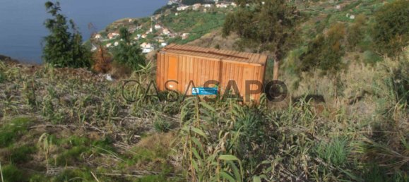 Grundstück in Calheta, Portugal, Nr. 141148 3
