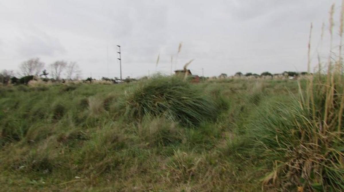 Terreno en Mar del Plata, Argentina No. 112869