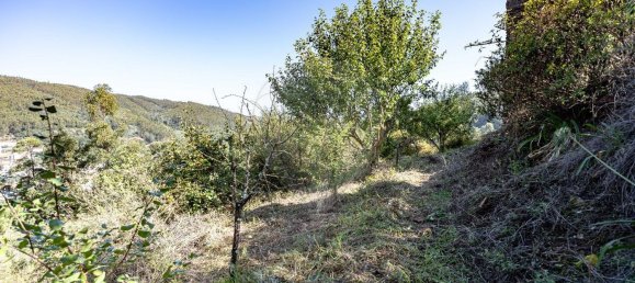 2 chambres Maison à Torres do Mondego, Portugal No. 37076 16