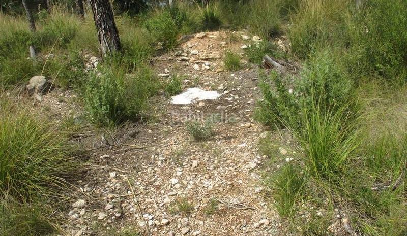 Земельный участок 963м² в Оливелла, Испания № 158719