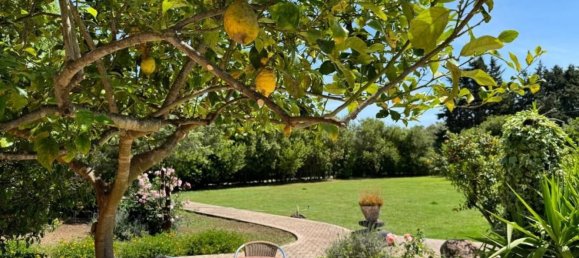 20 bedrooms House in San Vero Milis, Italy No. 322910 28