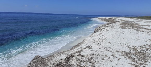 500m² Commercial property in Oristano, Italy No. 256026 8