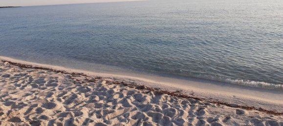 500m² Commercial property in Oristano, Italy No. 256026 9