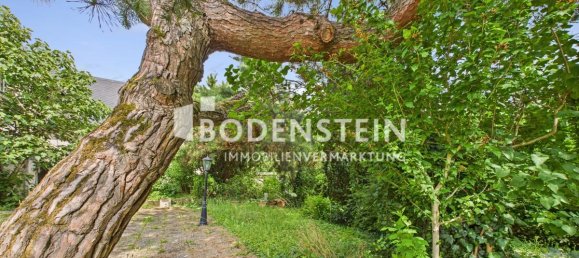 5 bedrooms Townhouse in Rheingau-Taunus, Germany No. 231056 3