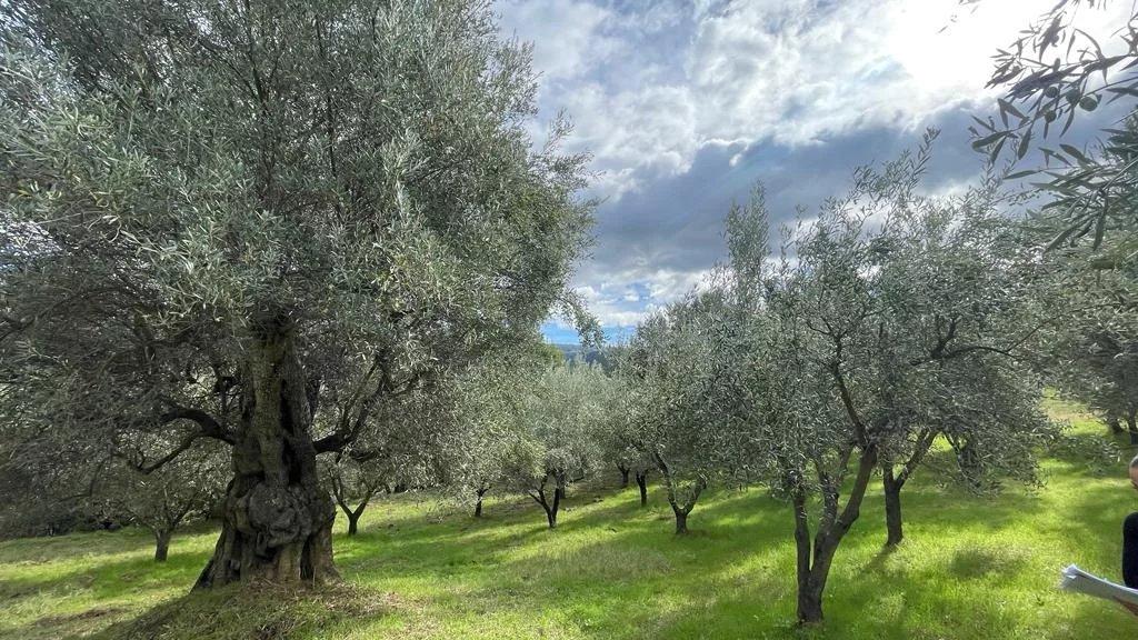 Grundstück in Bisignano, Italy 6500m², Nr. 62143