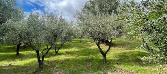 Grundstück in Bisignano, Italy 6500m², Nr. 62143 4