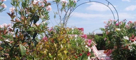 6 bedrooms Penthouse in Ravenna, Italy No. 322095 4