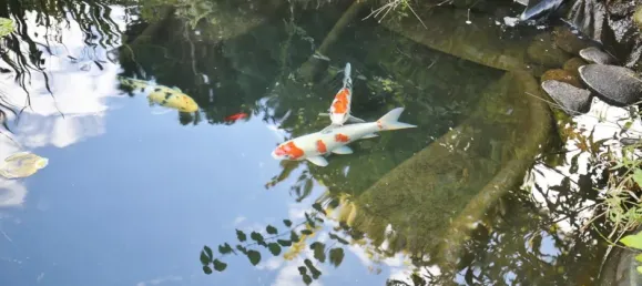 Casa de 3 dormitorios en Segeberg, Germany No. 73159 15