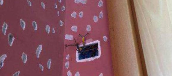 3 bedrooms Apartment in Vaprio d'Adda, Italy No. 282646 37