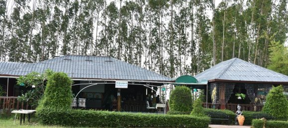 3 bedrooms Cafe / restaurant in Pattaya, Thailand No. 20062 21