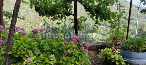 5 rooms Building in Vallecorsa, Italy No. 114308 7