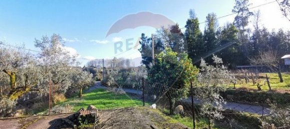 2 chambres Maison à Canas de Santa Maria, Portugal No. 173957 9