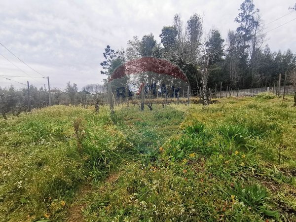 2 chambres Maison à Canas de Santa Maria, Portugal No. 173957