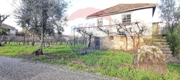 2 chambres Maison à Canas de Santa Maria, Portugal No. 173957 5
