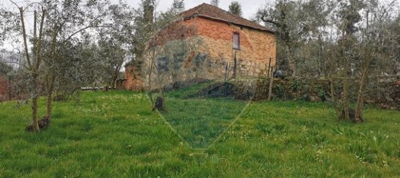 2 chambres Maison à Canas de Santa Maria, Portugal No. 173957 7