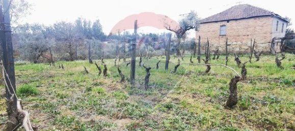 2 chambres Maison à Canas de Santa Maria, Portugal No. 173957 13