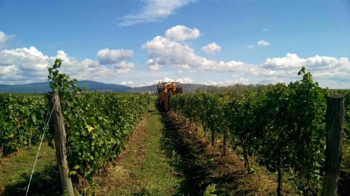 Imóvel comercial T3 em Eger, Hungary N.º 54