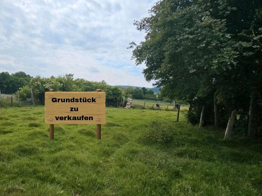  Land in Hameln-Pyrmont, Germany No. 342879