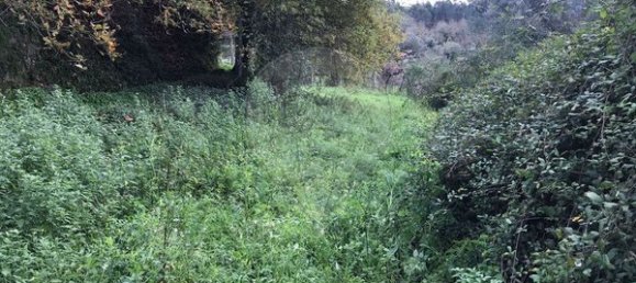 Terrain à Arcos de Valdevez, Portugal 2300m² No. 58499 4