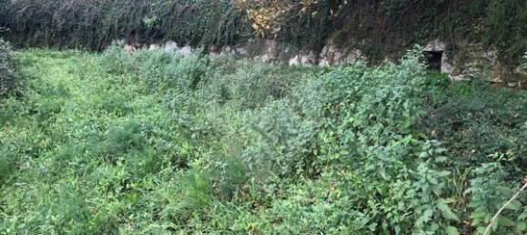 Terrain à Arcos de Valdevez, Portugal 2300m² No. 58499 3