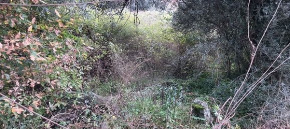 Terrain à Arcos de Valdevez, Portugal 2300m² No. 58499 2