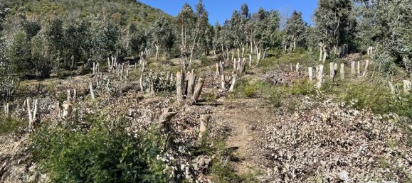 Grundstück in Mandelieu-la-Napoule, France 2977m², Nr. 277537 3