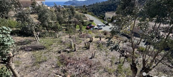 Grundstück in Mandelieu-la-Napoule, France 2977m², Nr. 277537 2