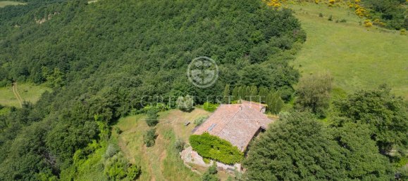 2 rooms House in San Casciano dei Bagni, Italy No. 27502 15