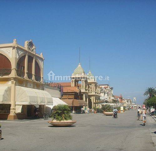 Пентхаус с 6 спальнями в Виареджо, Италия № 16063