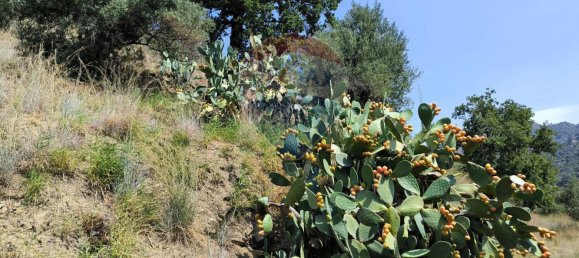 2 bedrooms House in Graniti, Italy No. 356186 23